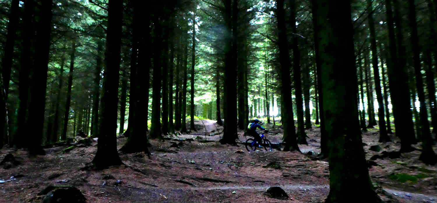 mountain biking north Wales