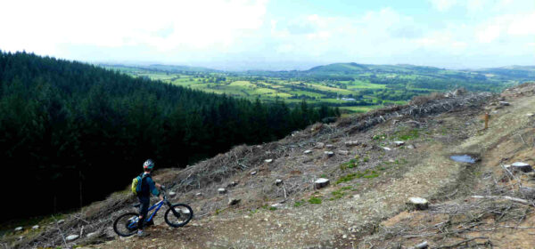 llandegla mtb postcode