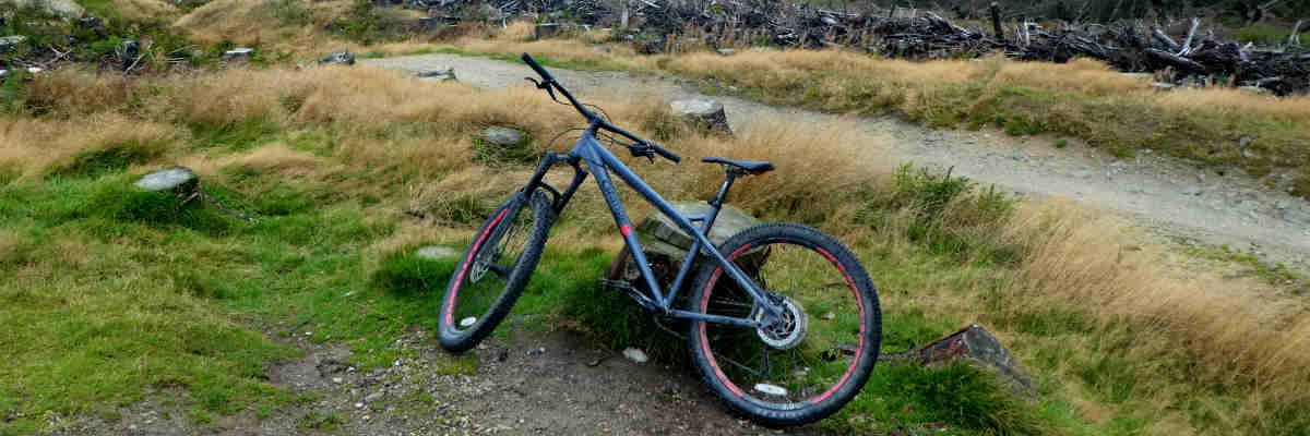 hardtail sale