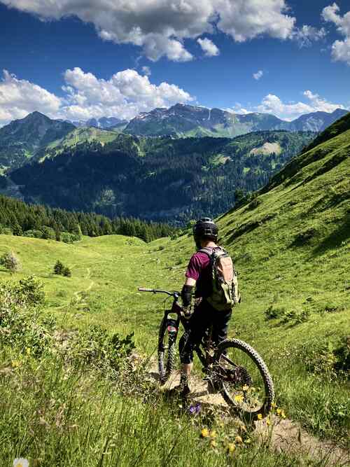 Mountain Bike vs Gravel Bike - view