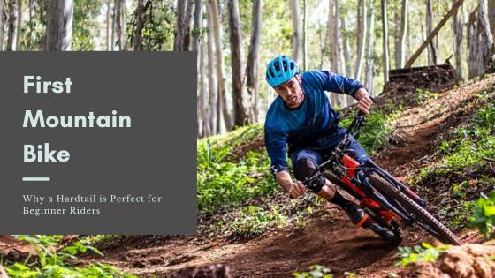 Hardtail mountain discount bike for beginner