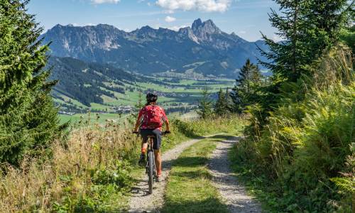 Can An Electric Mountain Bike Improve Your Riding? - emtber