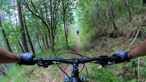 Is Mountain Biking An Extreme Sport - view from behind handlebars