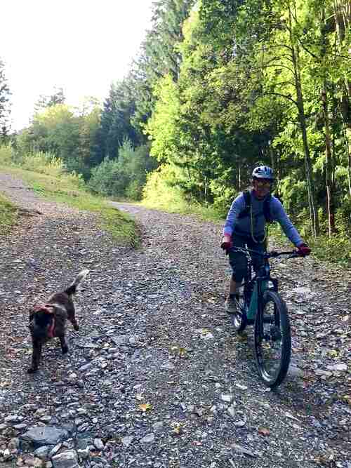 Beginner mountain bike - riding with a dog