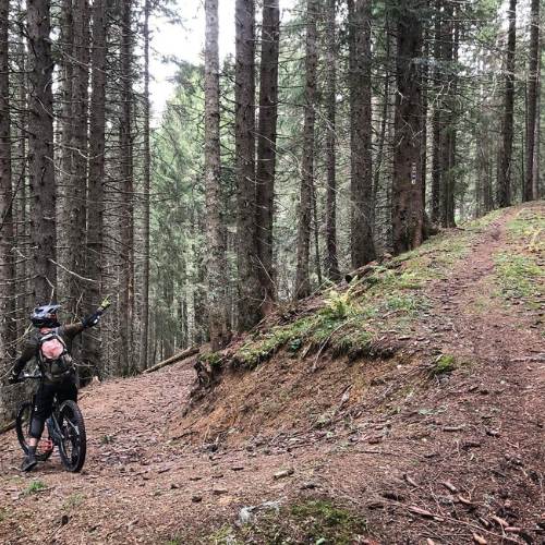 do you need a bike computer as a mountain biker - forest